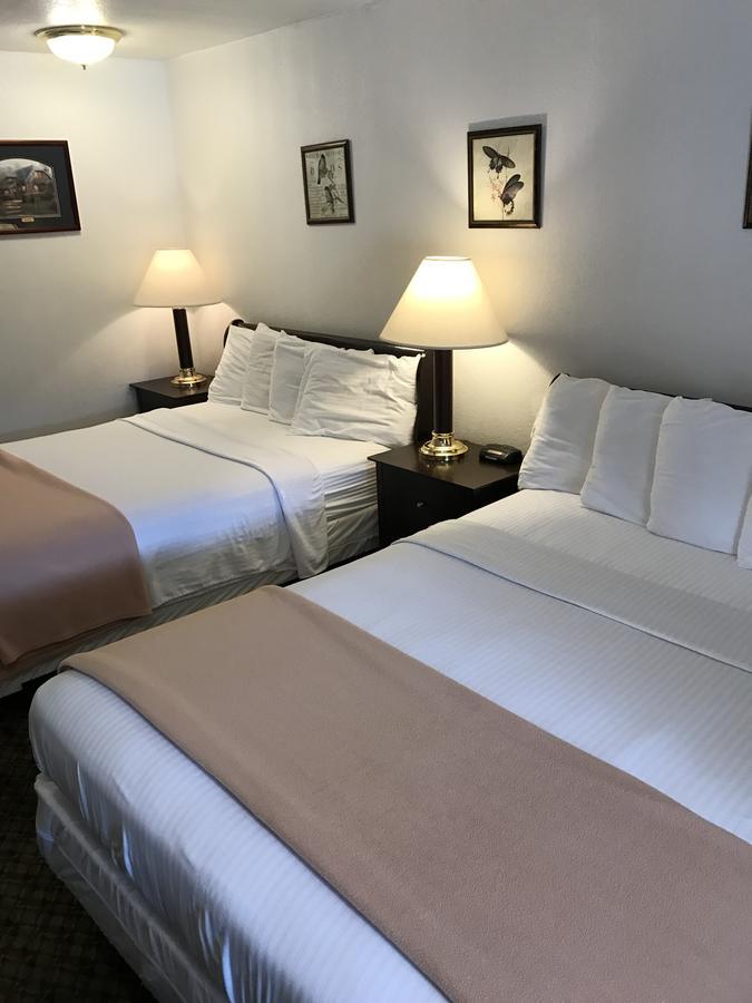 Gold Pan Lodge Quincy ภายนอก รูปภาพ